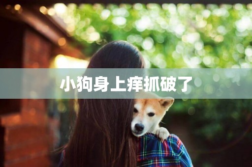 小狗身上癢抓破了
