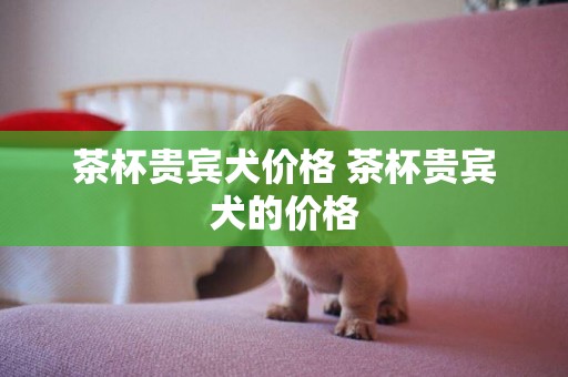 茶杯貴賓犬價格 茶杯貴賓犬的價格