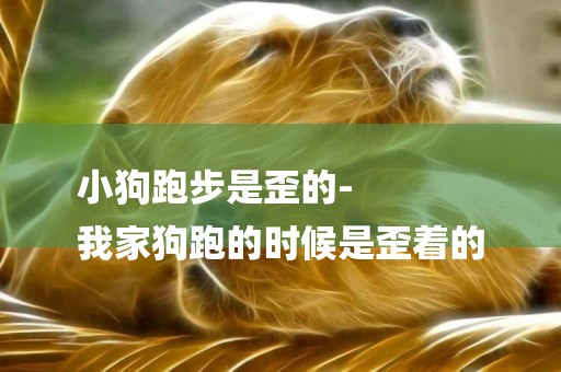 小狗跑步是歪的-
我家狗跑的時候是歪著的