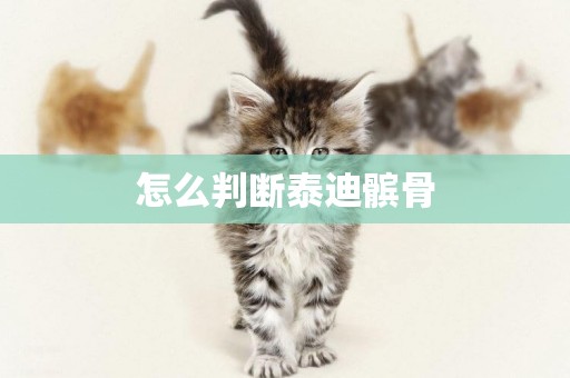 怎么判斷泰迪髕骨