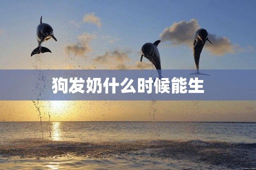狗發奶什么時候能生