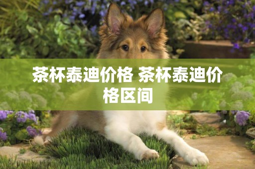 茶杯泰迪價格 茶杯泰迪價格區間