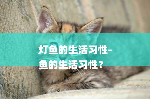 燈魚的生活習性-
魚的生活習性？
