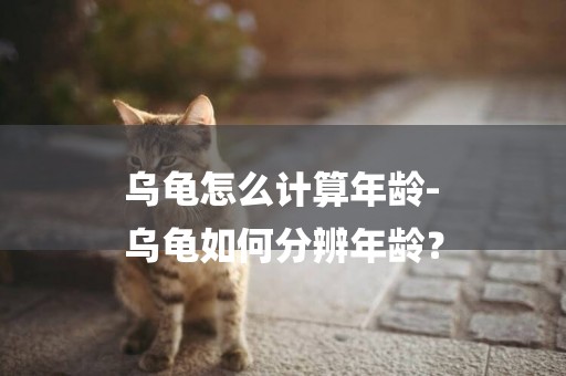烏龜怎么計算年齡-
烏龜如何分辨年齡？