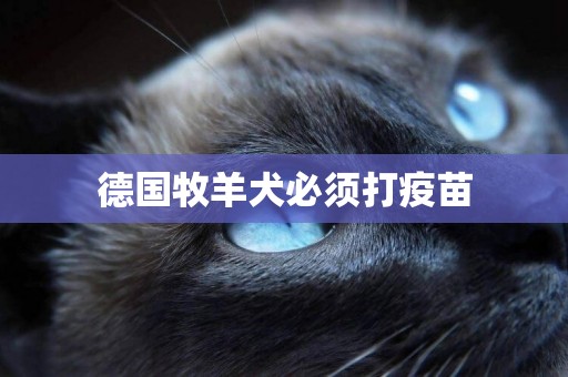 德國牧羊犬必須打疫苗