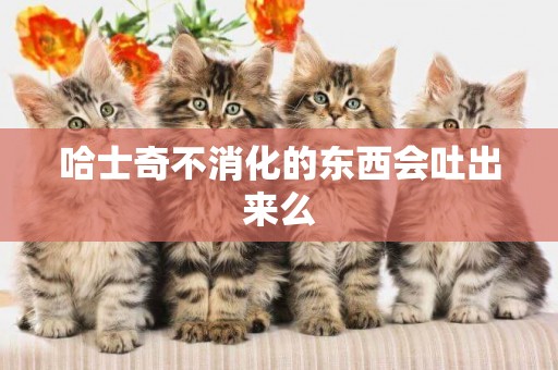 哈士奇不消化的東西會吐出來么