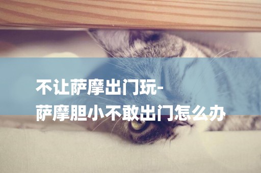 不讓薩摩出門玩-
薩摩膽小不敢出門怎么辦