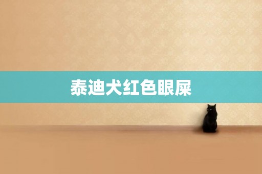 泰迪犬紅色眼屎