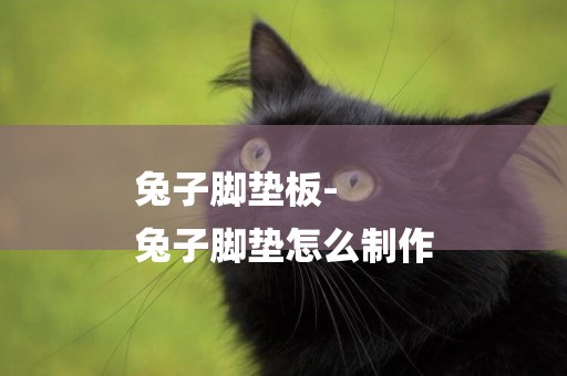 兔子腳墊板-
兔子腳墊怎么制作