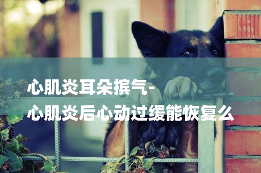 心肌炎耳朵擯氣-
心肌炎后心動過緩能恢復么