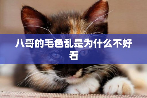 八哥的毛色亂是為什么不好看