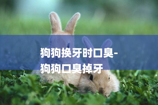 狗狗換牙時口臭-
狗狗口臭掉牙