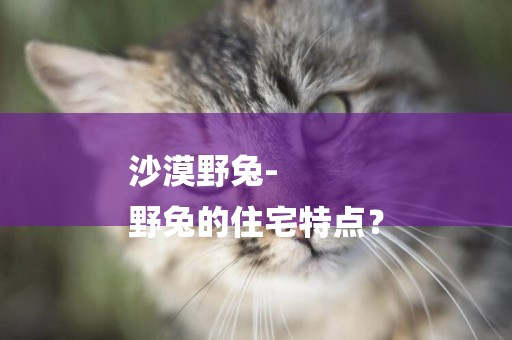 沙漠野兔-
野兔的住宅特點？
