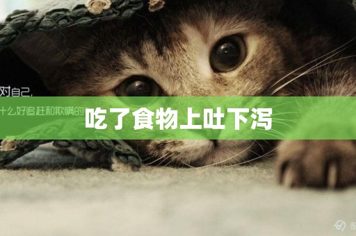 吃了食物上吐下瀉