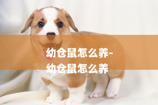 幼倉鼠怎么養-
幼倉鼠怎么養