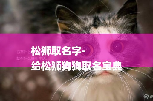 松獅取名字-
給松獅狗狗取名寶典