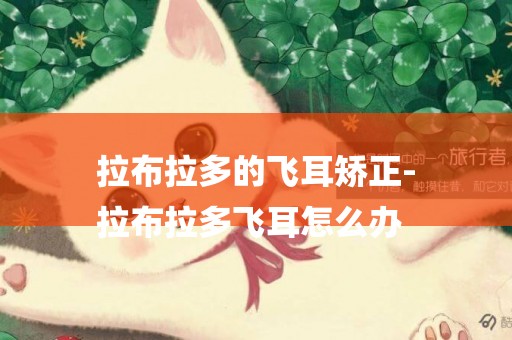 拉布拉多的飛耳矯正-
拉布拉多飛耳怎么辦
