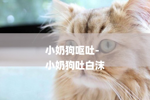 小奶狗嘔吐-
小奶狗吐白沫