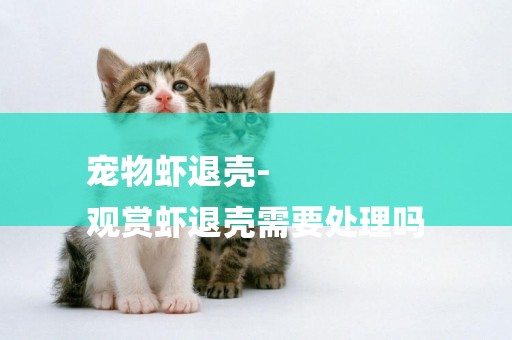 寵物蝦退殼-
觀賞蝦退殼需要處理嗎