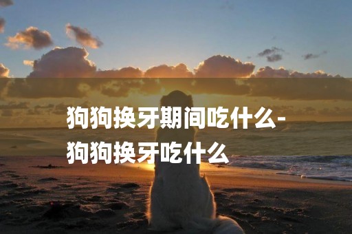 狗狗換牙期間吃什么-
狗狗換牙吃什么