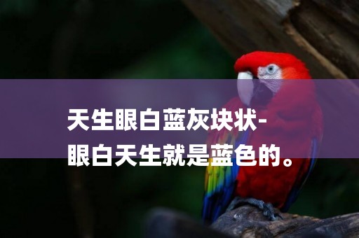 天生眼白藍灰塊狀-
眼白天生就是藍色的。
