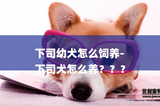 下司幼犬怎么飼養-
下司犬怎么養？？？