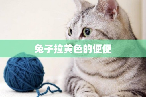 兔子拉黃色的便便