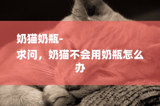 奶貓奶瓶-
求問，奶貓不會用奶瓶怎么辦