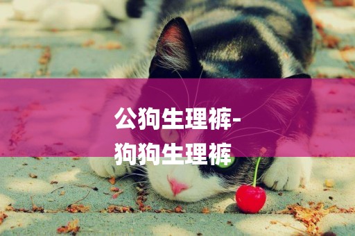 公狗生理褲-
狗狗生理褲