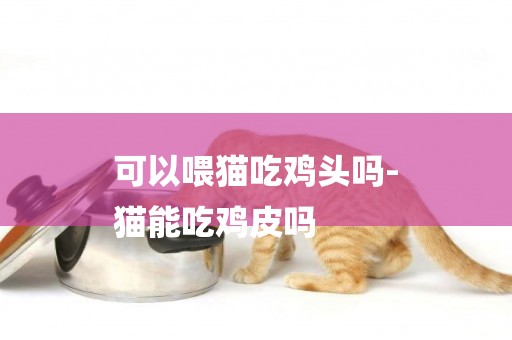 可以喂貓吃雞頭嗎-
貓能吃雞皮嗎