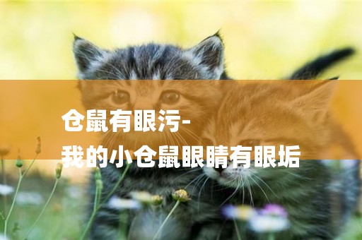 倉鼠有眼污-
我的小倉鼠眼睛有眼垢