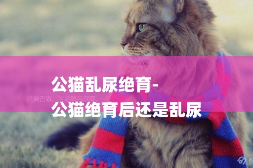 公貓亂尿絕育-
公貓絕育后還是亂尿