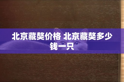 北京藏獒價格 北京藏獒多少錢一只