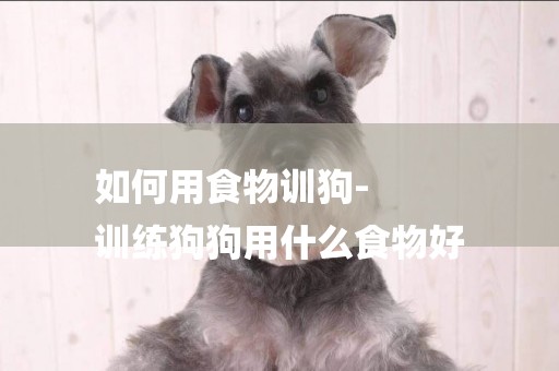 如何用食物訓狗-
訓練狗狗用什么食物好