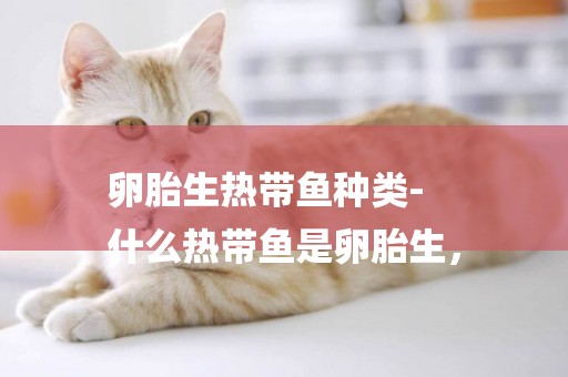 卵胎生熱帶魚種類-
什么熱帶魚是卵胎生，
