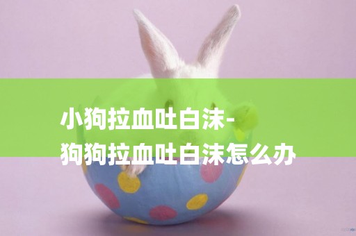 小狗拉血吐白沫-
狗狗拉血吐白沫怎么辦