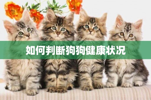 如何判斷狗狗健康狀況