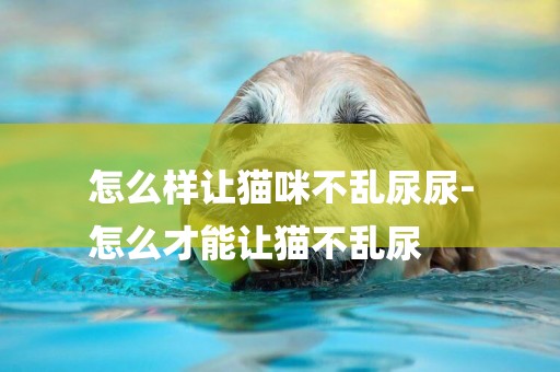 怎么樣讓貓咪不亂尿尿-
怎么才能讓貓不亂尿
