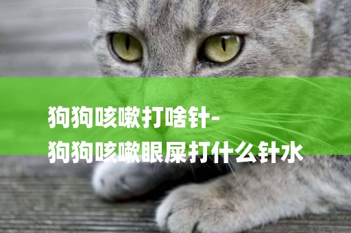 狗狗咳嗽打啥針-
狗狗咳嗽眼屎打什么針水