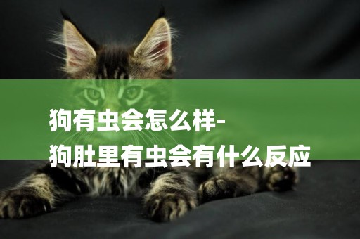 狗有蟲會怎么樣-
狗肚里有蟲會有什么反應