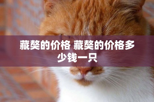 藏獒的價格 藏獒的價格多少錢一只