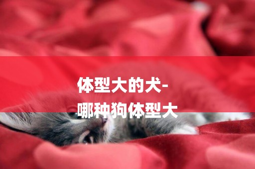 體型大的犬-
哪種狗體型大