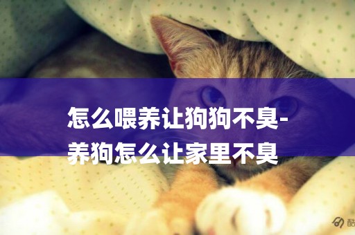 怎么喂養讓狗狗不臭-
養狗怎么讓家里不臭