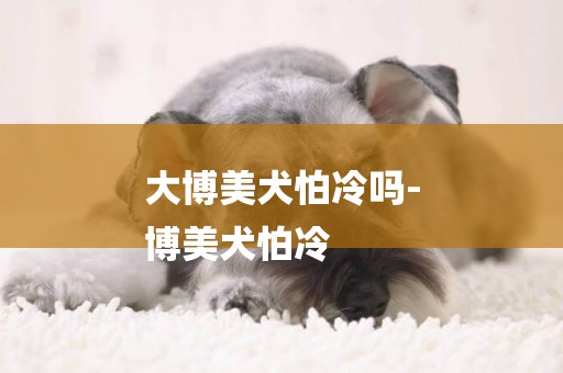 大博美犬怕冷嗎-
博美犬怕冷