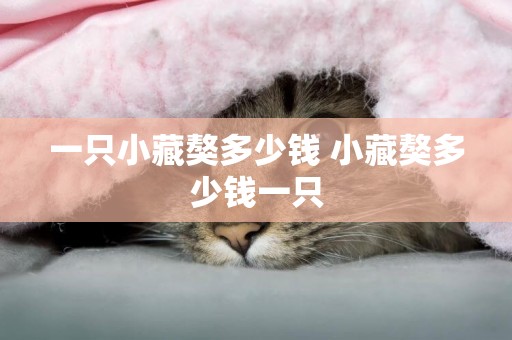 一只小藏獒多少錢 小藏獒多少錢一只