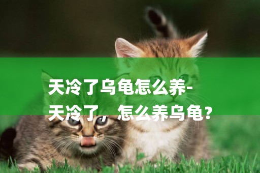 天冷了烏龜怎么養-
天冷了，怎么養烏龜？
