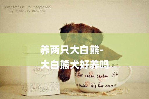 養兩只大白熊-
大白熊犬好養嗎