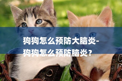 狗狗怎么預防大腦炎-
狗狗怎么預防腦炎？