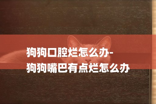 狗狗口腔爛怎么辦-
狗狗嘴巴有點爛怎么辦