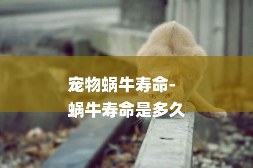 寵物蝸牛壽命-
蝸牛壽命是多久
